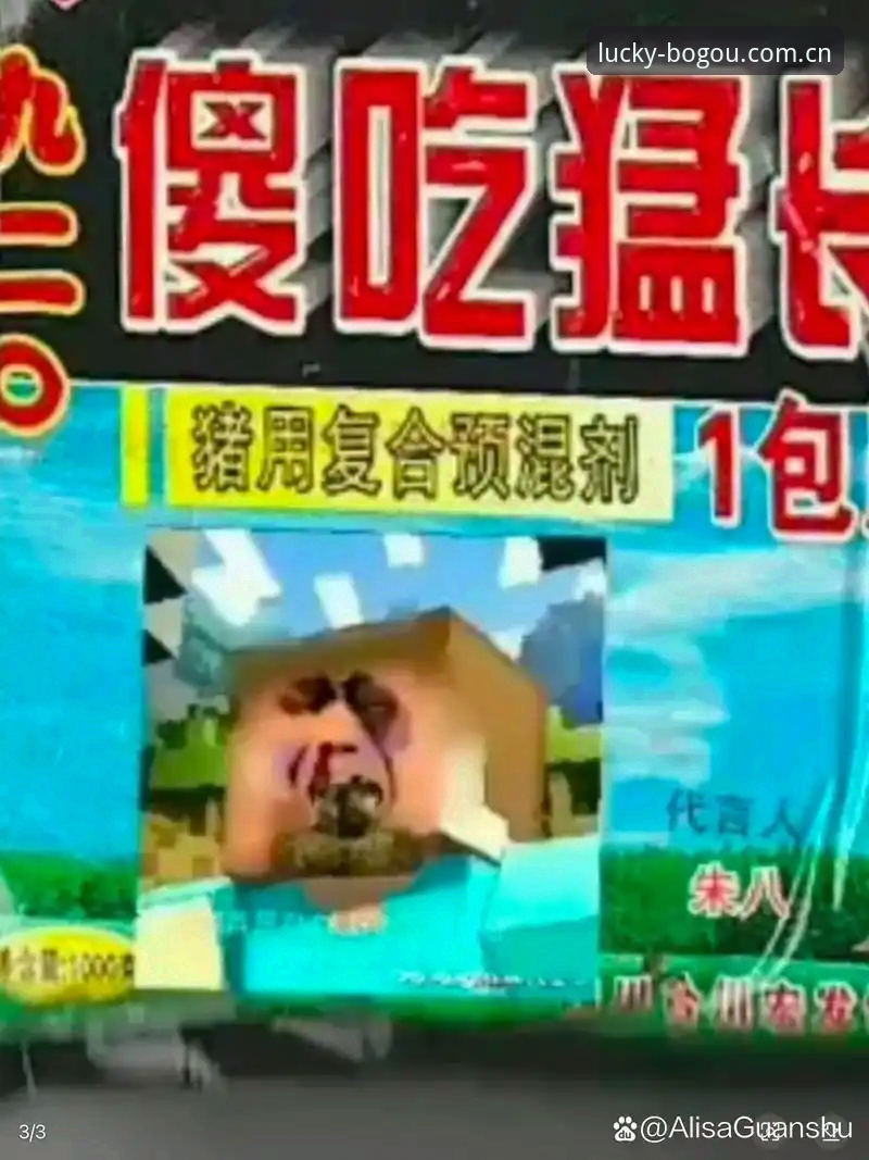 博狗官方入口使用教程：从下载到投注的安全操作指南