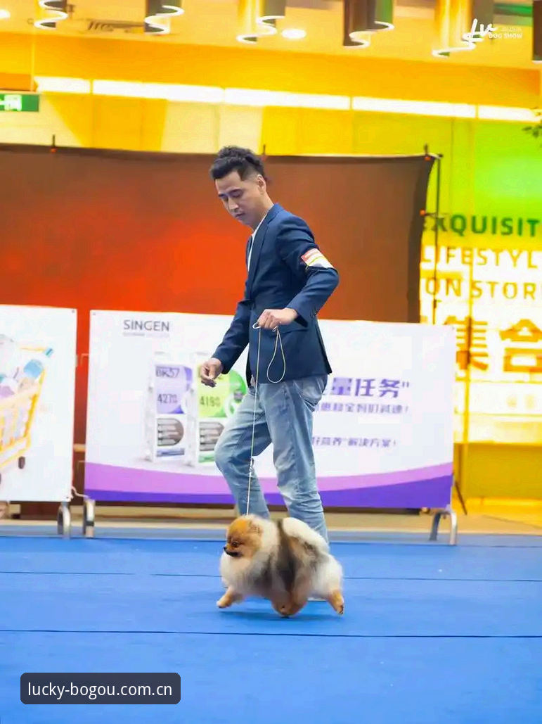 博狗官方入口 vs 普通投注平台：老用户亲测体验与安全对比分析