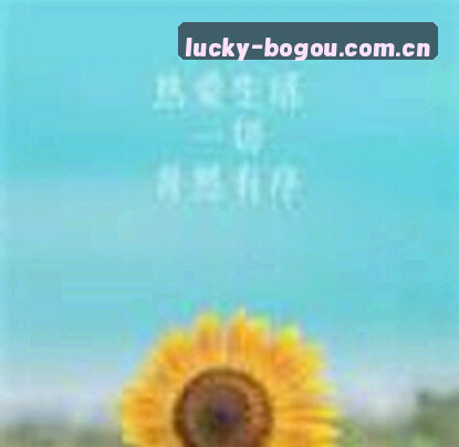 吴婷